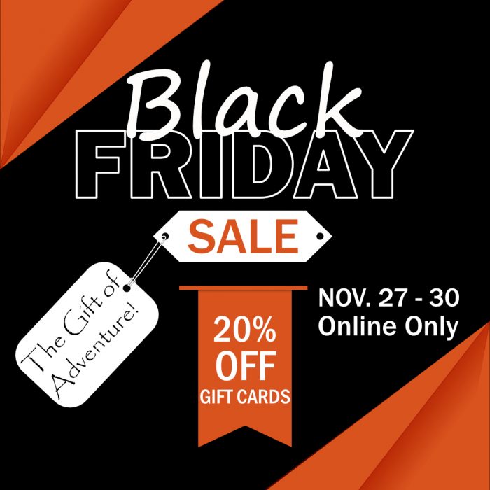 Black Friday SEA